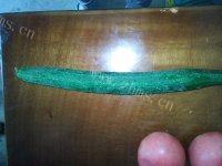 美味的西红柿紫菜蛋花汤做法图解2)