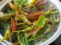 家常菜香椿芽拌豆腐做法图解2)