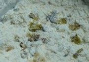 蜜豆司康做法图解2)
