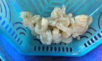 家常菜毛豆炒虾仁做法图解4)