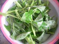 家常菜蒜拌空心菜做法图解1)