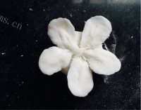 美味的梅花蒸饺做法图解14)