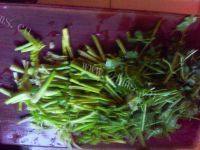 家常菜炒芹菜做法图解2)