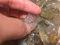 营养油爆基尾虾#新鲜从这儿开始做法图解3)