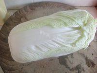 诱人的凉拌白菜做法图解1)