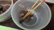自制迷彩戚风做法图解4)
