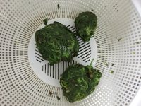 好吃的青汁荠菜水饺做法图解3)