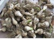 美味的腌蒜做法图解3)