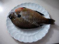 味道香醇的清蒸太阳鱼做法图解1)