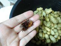 下酒菜水煮花生做法图解4)