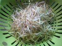 家常菜凉拌豆芽做法图解1)