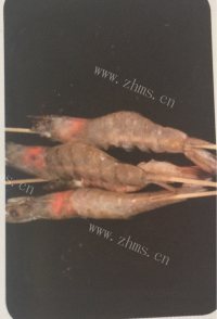 美味的蒜蓉烤虾做法图解6)