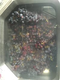 诱人的自酿葡萄酒做法图解1)