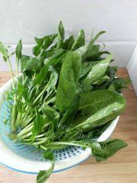 自制芝麻菠菜做法图解1)