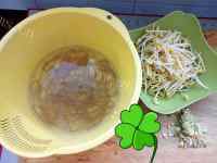 好吃宽粉炒黄豆芽做法图解1)