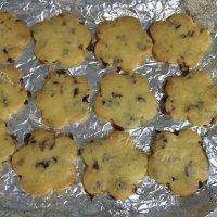 色香味俱全的蔓越莓饼干做法图解11)
