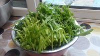 家常菜蒜蓉茼蒿做法图解1)
