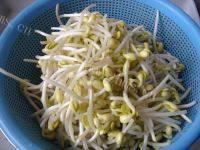 鲜甜素炒黄豆芽做法图解1)