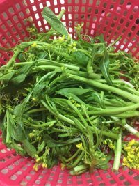 家常菜素炒菜心做法图解1)