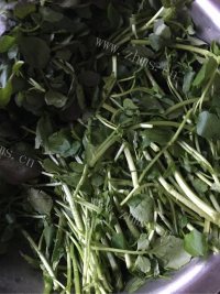 蒜蓉西洋菜做法图解1)