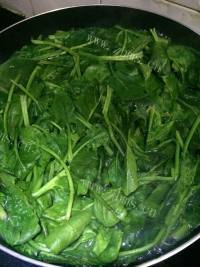色香味俱全的海虹拌菠菜做法图解1)