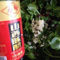 好吃的凉拌穿心莲做法图解6)