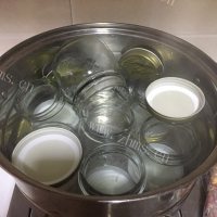 自制红提果酱做法图解13)