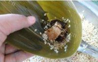 好吃的肉粽子做法图解10)