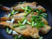 秀色可餐的香煎红杉鱼