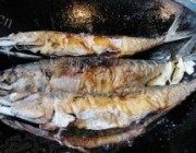 茄汁鲅鱼做法图解4)