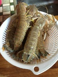 美味的椒盐濑尿虾做法图解2)