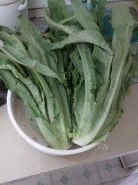 家常菜小炒油麦菜做法图解1)