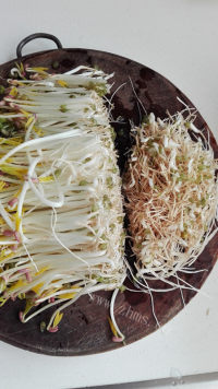 家常菜炝拌绿豆芽做法图解2)