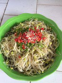家常菜凉拌豆芽
