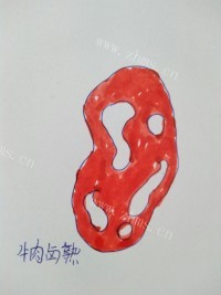 好吃的香煮牛洋肉做法图解1)