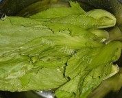 炒芥菜做法图解1)
