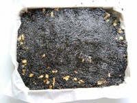 芝麻核桃糖做法图解9)