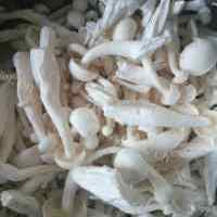 美味营养的炸蘑菇的做法图解二