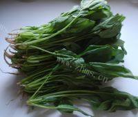 下饭的凉拌菠菜做法图解1)