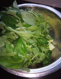 家常菜清炒空心菜做法图解1)