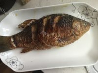 美味的葱烤鲫鱼做法图解8)