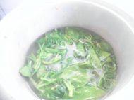 飘香的凉拌绿豆芽做法图解5)