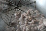 美味的羊肉手抓饭做法图解3)