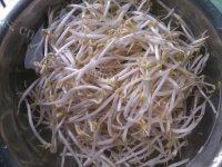 家常菜辣炒豆芽做法图解2)