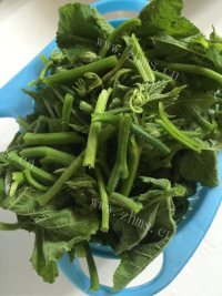 家常蒜蓉南瓜尖儿做法图解2)