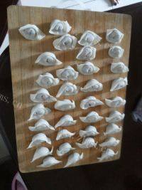 自制鲜虾小馄饨做法图解7)