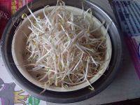 适量韭菜炒豆芽做法图解3)