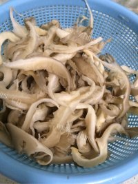 家常菜蘑菇炒肉做法图解1)