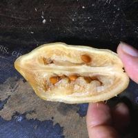 美味的高峰柠檬鸭做法图解5)