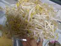 热腾腾的豆芽炒肉做法图解1)